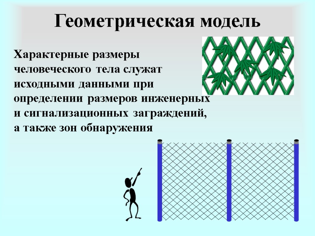 Геометрическая модель Характерные размеры человеческого тела служат исходными данными при определении размеров инженерных и